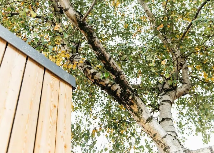 Carmen Eco-Pod / Treehouse, Close To Cabot Circus