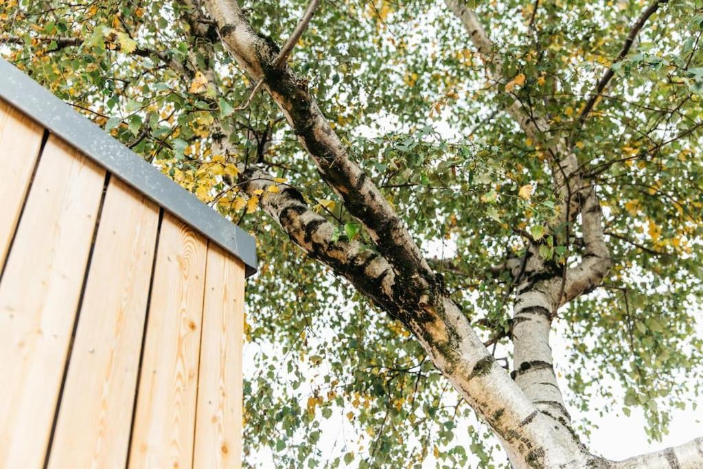 Carmen Eco-pod / Treehouse, Close To Cabot Circus Appartamento Bristol